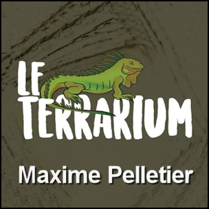Maxime Pelletier