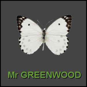 Mr Greenwood