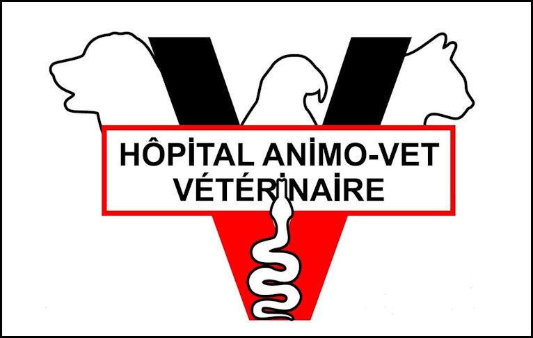 Hôpital vétérinaire Animo-Vet St-Hubert
