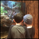 Salon des Reptiles 2020